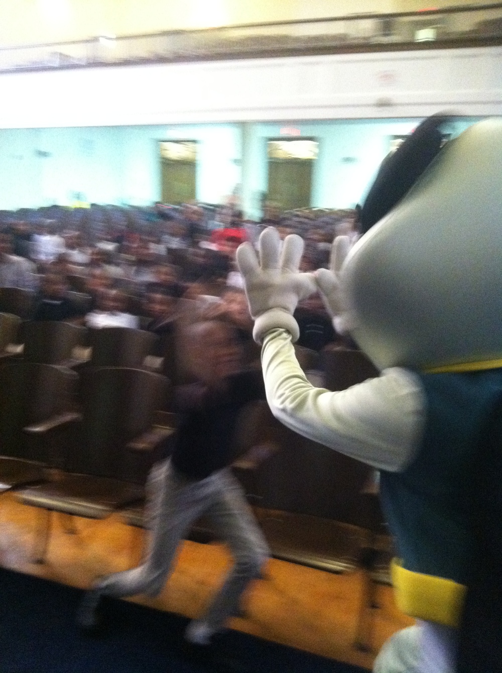 mascot_action.jpg